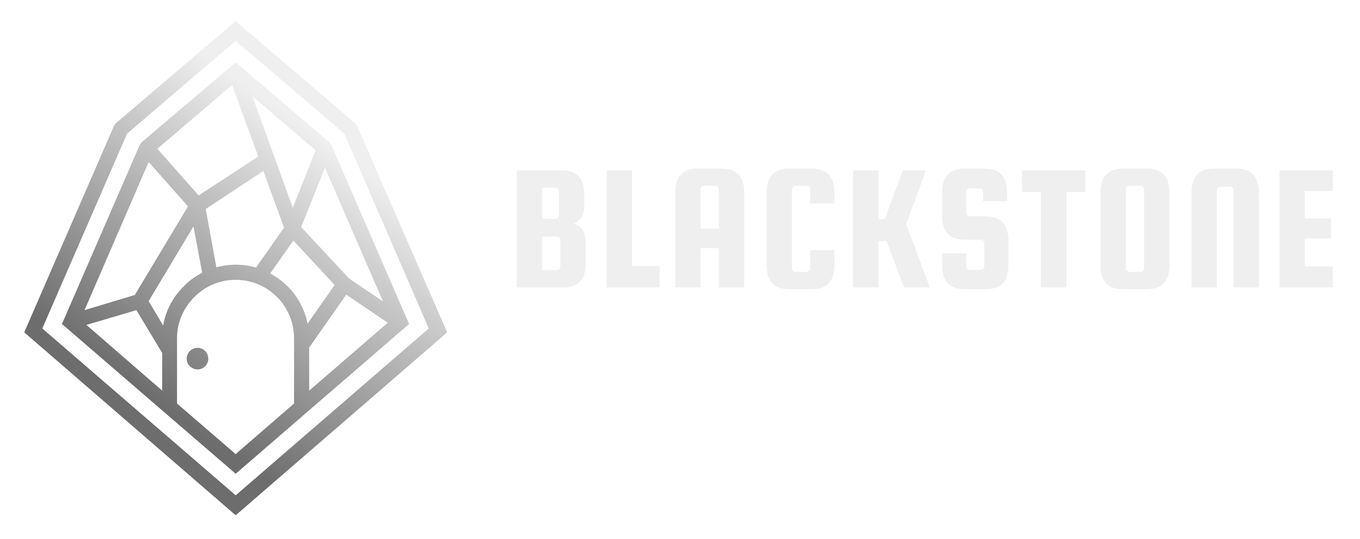 Blackstone AI Partners